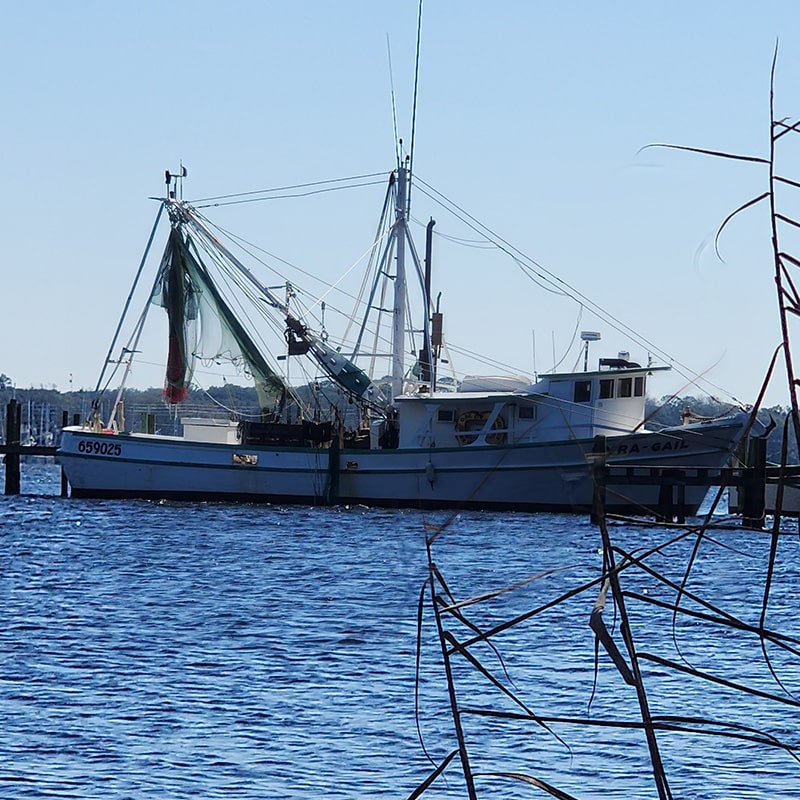 boat docked in rocky bayou